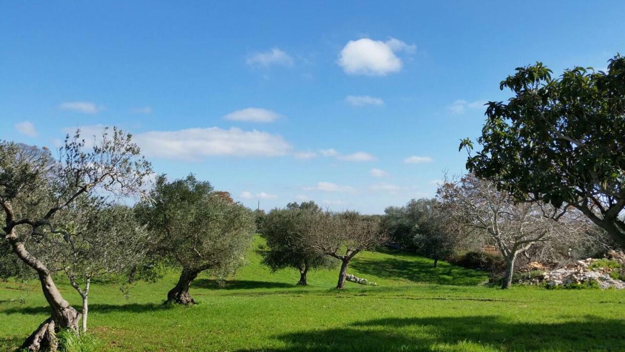 Trulli L'Utopia Di Anny Trulli Anny'S Utopia Locorotondo Buitenkant foto